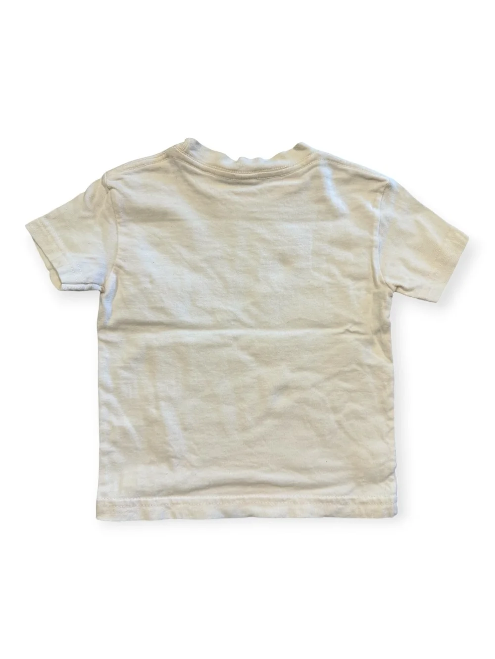 Organic Cotton Dinosaur Print Toddler T-Shirt 12-18 Months